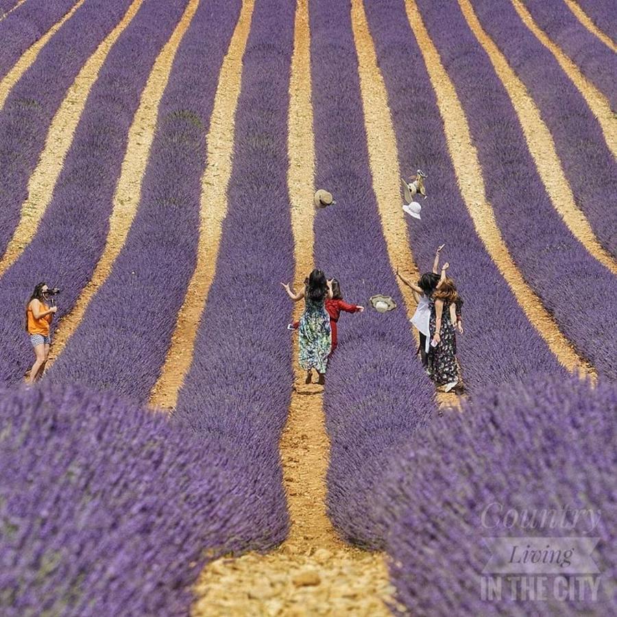 Au Paradis Des Grillons Espinasses ภายนอก รูปภาพ