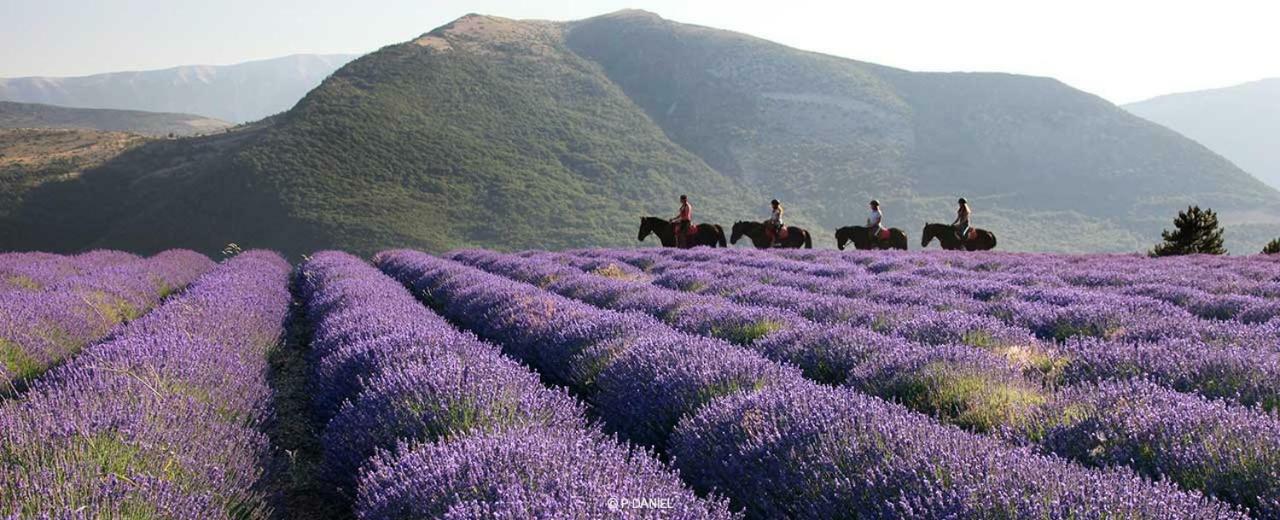 Au Paradis Des Grillons Espinasses ภายนอก รูปภาพ